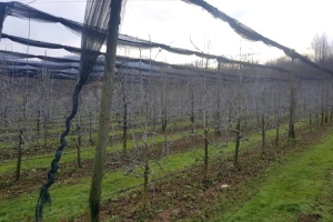 Okupljanje voćara RS - glavne teme promjena klime, tržište i radna snaga