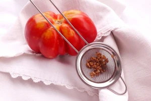 Kako prikupiti i sačuvati sjeme paradajza za iduću sezonu