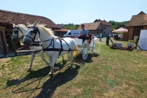 Lipicanac u mom selu kao putujuća manifestacija - zna se gdje će biti naredna