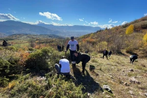 Svi na Igman, nastavlja se akcija masovnog pošumljavanja - 500.000 novih sadnica
