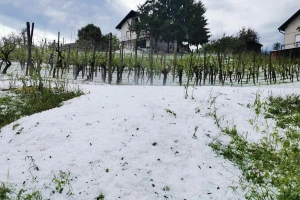Strahovito nevrijeme u susjedstvu - grad poharao Zagorje, uništeni usjevi i nasadi