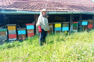 U dva ovogodišnja vrcanja izvadili 500 kilograma meda