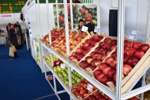 Počinje trodnevni sajam "Dani jabuke" u Goraždu
