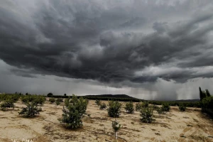 Jedva dočekali kišu, a onda morali zaustaviti berbu voća - poplave u Španiji