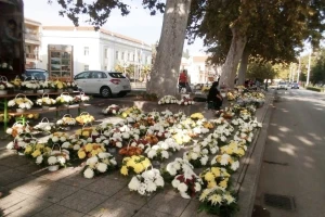 Cvijet Hercegovine: Svake je godine sve više uzgajivača cvijeća u Čapljini