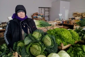 Jelena Dodig: 10 KM za divlje zelje je prikladna cijena