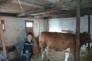 Hvale vrijedna akcija: Mljekari TK donirali kravu osmogodišnjem Ahmetu