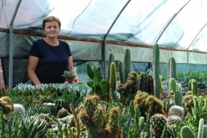 Četiri žene - četiri vrijedne pokretačice uspješnih poslova u svojoj seoskoj sredini