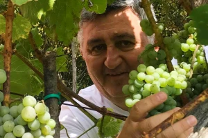 "Vinske priče Bosna i Hercegovina" Željka Garmaza u osvajanju Gorumand nagrade