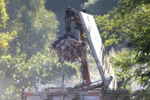 Afrička svinjska kuga u susjedstvu: Usmrtit će 62 svinje