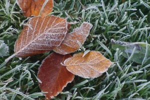 Temperature primjerenije kraju novembra