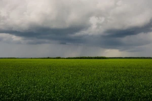 Nestabilno vrijeme ometa radove u polju