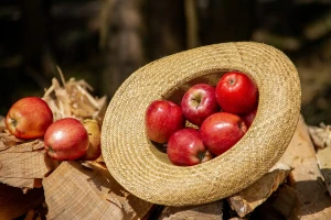 Fruit Logistica 2020.- jedan od najvećih poljoprivrednih sajmova na svijetu