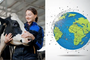 Globalna slika govedarstva: Od prahistorije do savremenih izazova