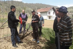 Malinari sudjelovali na radionici "Savremena tehnološka rješenja u uzgoju maline"