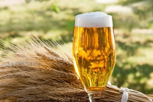 Eurostat: Svako četvrto pivo u EU - njemačko