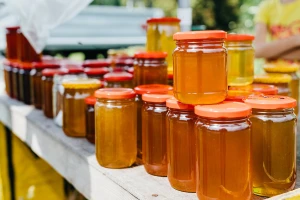 Na domaćem tržištu postoje značajne količine lažnog meda?!