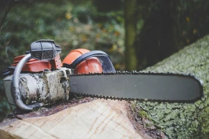 "Sječa" direktora u Šumama Srpske - smijenjeno četvero direktora
