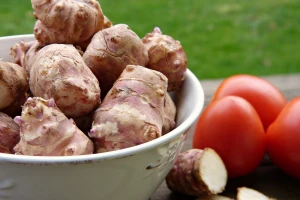 Jeruzalemska artičoka - dobra i za ljude i za stoku