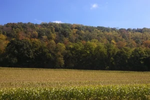 Stiže osjetno zahlađenje: Temperatura će pasti za 15°C