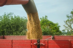 Isplaćeno 3.937.114 KM podsticaja, najveći dio odnosi se na pšenicu