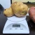 Čudo iz Glamoča: Uzgojili krompir teži od 1,5 kilograma, stiže i sjeme očišćeno od virusa