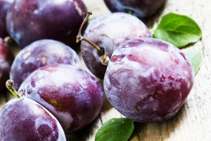 Šta je potrebno uraditi sa šljivom poslije berbe?