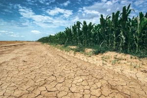 Narandžasti meteo alarm: Današnje temperature idu do 38°C