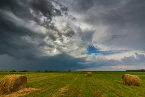 Američka vlada želi zamračiti sunce - moglo bi biti kobno za poljoprivredu?