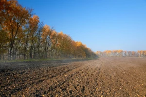 Uloga i značaj vjetrozaštitnih pojaseva