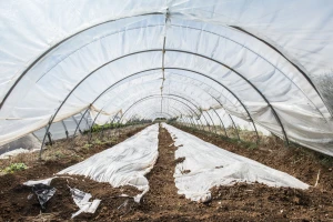 Očistite, dezinficirajte i pripremite plastenik za narednu sezonu