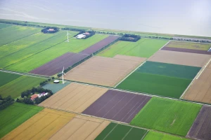 Otkupljuju farme: Vlada Nizozemske želi smanjiti zagađenje azotom