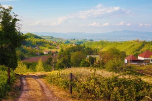 Isplaćeno više od 300.000 KM poticaja za razvoj poljoprivrede i sela