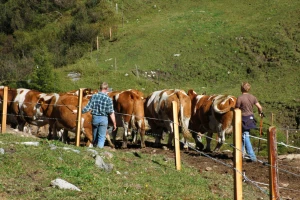 Odustaju od organske proizvodnje: 1.450 poljoprivrednika u Austriji mijenja smjer