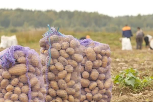 Uzgajivači krompira pobijedili giganta za piće i hranu - sad traže odštetu