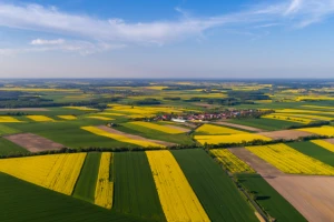 Novi zahtjevi ZPP-a: Šta treba uzeti u obzir kod planiranja uzgoja?