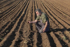 Koliko pesticidi i mineralna đubriva zagađuju zemljište?