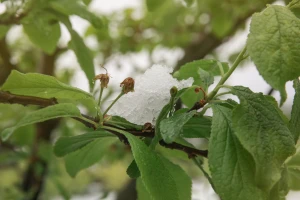 Snijeg će opet padati - temperatura se spušta do -9°С
