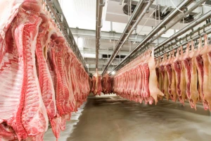 EU 2020. izvezla više od šest milijuna tona svinjetine - bilježi i nove rekorde