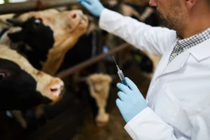 Za veterinarstvo u FBiH ove godine 2,7 miliona KM