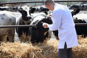 Federalni poticaj za veterinarstvo 2,7 miliona KM