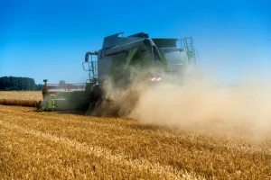 Umjesto herbicida: Kombajn u žetvi odmah odvaja sjeme korova