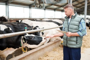 Farmeri pojasnili: Za 1 KM poticaja, uplatimo 3,5 KM u budžet