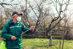 Jesenje tretiranje voćnjaka ureom - na šta treba paziti?