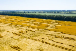 Razorne poplave: EU raspravlja o nadoknadi štete u poljoprivredi