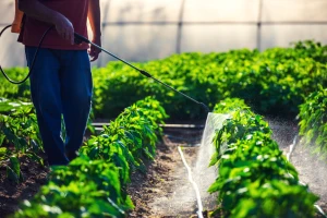 Svaka zemlja sama donosi odluku koji će pesticid zabraniti, bez obzira na pravila EU?