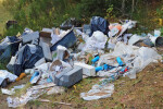 Kuda ću sa šutom ili skalamerijom iz podruma? U kanal, šumu, rijeku