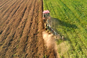 Zelenišno đubrivo je pristupačno i efikasno popravlja plodnost zemljišta