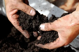 Jeftino i brzo proizveli umjetni humus: Ponaša se kao prirodni