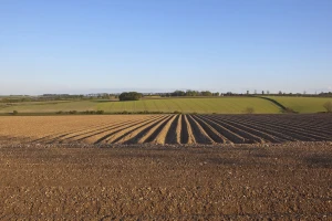 Započeo veliki projekt o zdravlju tla vrijedan više od 5 miliona eura